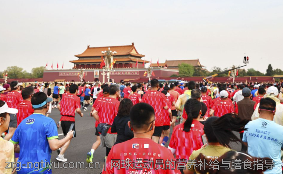 网球运动员的营养补给与膳食指导