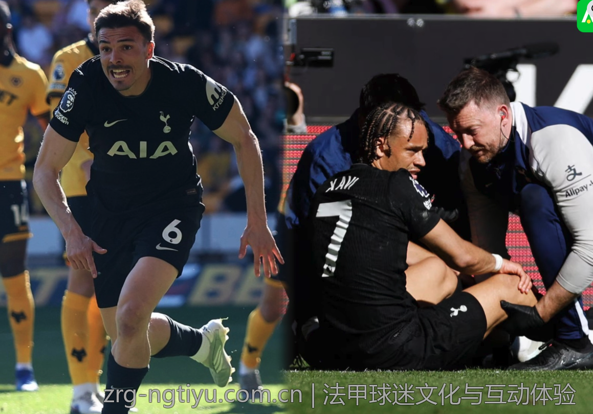 法甲球迷文化与互动体验